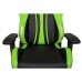 Игровое Кресло AKRacing PREMIUM Plus (AK-PPLUS-GN) black/green
