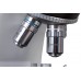 Микроскоп Bresser Science TRM-301 62564